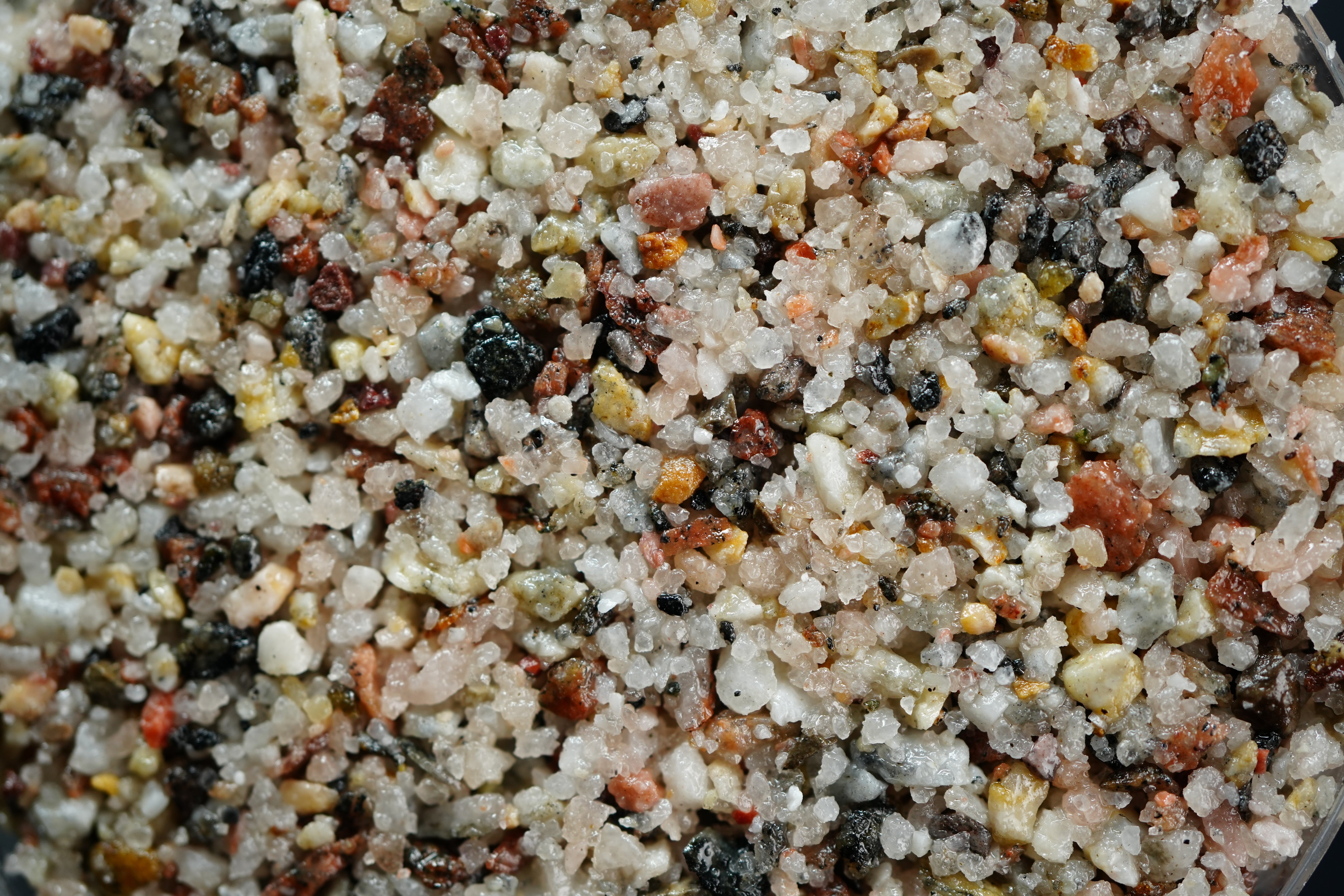 Canadian Seashell Overlay - UVR Kit