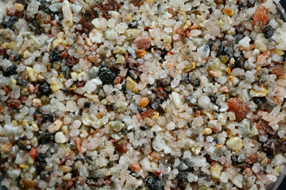 Canadian Seashell Overlay - UVR Kit